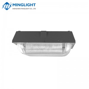 Φωτιστικό LED με κουβούκλιο CNPA 100W